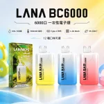 LANA Bar BC 6000 一次性電子煙 超涼款 可充電
