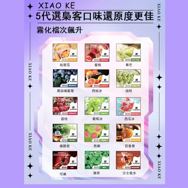 XIAOKE梟客五代煙彈 3顆裝 適配五代六代主機